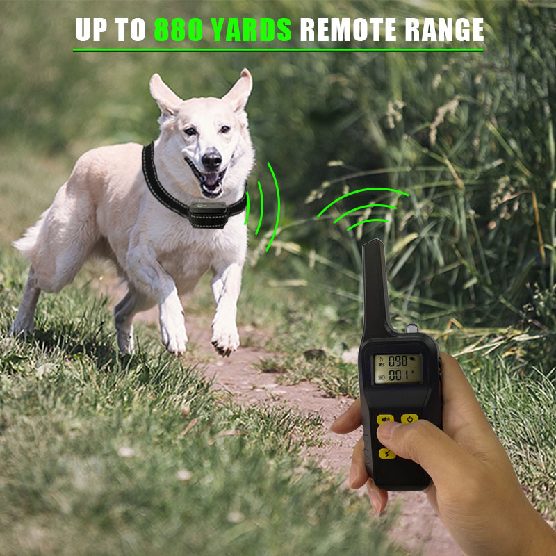 duschschwamm mit vibration Wiederaufladbares 1000m Elektro-Trainingshalsband für Kleine Hunde mit  Fernbedienung, Piepton und Vibration| Alibaba.com