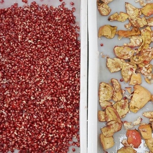 Machine à peler les grenades de grande capacité, ligne de traitement pour le lavage et le pelage des grenades et des fruits de la passion - Product Image 6