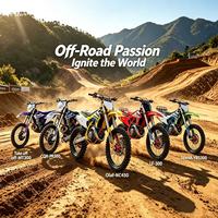 Moto tout-terrain GX-CQR-PR300 robuste à essence pour adultes, 4 temps, 300 cm³, monocylindre, démarrage électrique, refroidissement par air à 2 pistons, NIBBI PE30