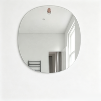 Miroir de salle de bain sans cadre en PC anti-buée, forme Art Déco organique irrégulière pour la décoration murale des hôtels et des salles de bain à domicile