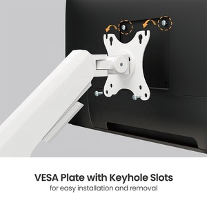 LDT94-C012 Soporte de Monitor con Resorte de Gas de 17"-40" y 12 kg, OEM ODM, Soporte para Pantalla de Ordenador de 34 Pulgadas, Montaje <span class=keywords><strong>VESA</strong></span>, Soporte Individual para Monitor - Product Image 3