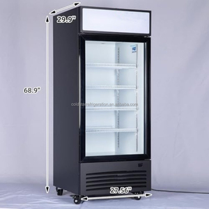 Congélateur vertical à porte simple COLDSTAR pour l'affichage des fleurs, vitrine réfrigérée à refroidissement par ventilateur - Product Image 5