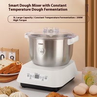 Machine automatique d'éveil de nouilles de pétrissage de pâte commerciale de grande capacité Machine de chef multifonctionnelle de ménage constante