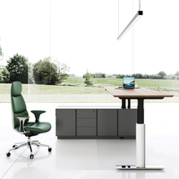 Bureau de direction moderne de luxe, électrique, réglable en hauteur, convertible, prix abordable, plateau en bois, mobilier informatique