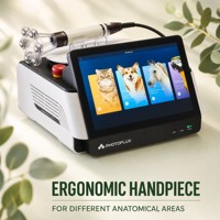 PHOMED CureLight 650nm 810nm 980nm Laser thérapeutique vétérinaire de classe IV pour la douleur, l'inflammation et les soins articulaires des animaux de compagnie