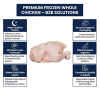 Pollo Entero Congelado Halal al por Mayor, Pollo Entero Congelado para Exportación, Desplumado y Limpiado, Carne de Aves