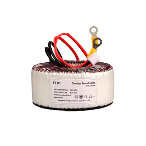 EEIO Factory Hot Sales isolamento 100w AC 24V doppio anello di avvolgimento trasformatore toroidale a piena potenza