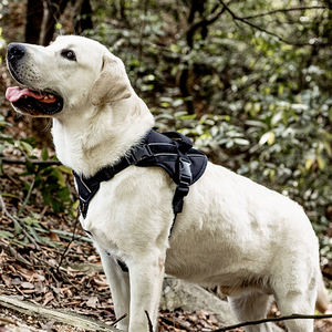 1000Dオックスフォードヘビーデューティ犬用ハーネスグラブハンドル付きぴったり犬用ベスト追加コンフォートネオプレン裏地付き - Product Image 5