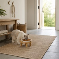 Bol surélevé pour animaux de compagnie avec support en bambou, bol de nourriture en céramique blanche surélevé pour chat, chien, petits animaux