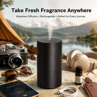 Diffuseur d'arômes sans eau rechargeable HIITII pour voiture, idéal pour les voyages, cadeau d'affaires simple et essentiel pour les vacances