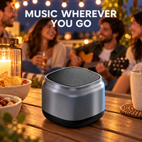 Haut-parleur BT portable, mini enceinte sans fil, basses puissantes, corps métallique, BT 5.1, son HD 0-5W pour voiture, bureau