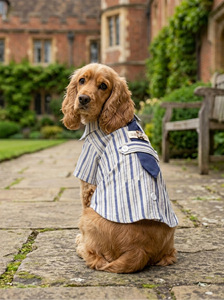 JiaBei Printemps-Été Chemise à cravate pour petit chien de type gentleman, vêtements pour chien à deux pattes, vêtements pour animaux de compagnie, vente en gros - Product Image 3