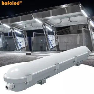 Commercial 110V 220V Popular 1.2m LED Batten Light Fixture 4FT 40W IP65 LED Tri-proof Light