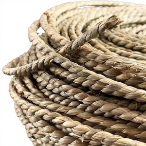 Cuerda Trenzada Gruesa de Hierba Marina Natural Ecológica con Capacidad de 50 kg para Cestas Colgantes de Jardín y Soporte de Plantas - Product Image 1