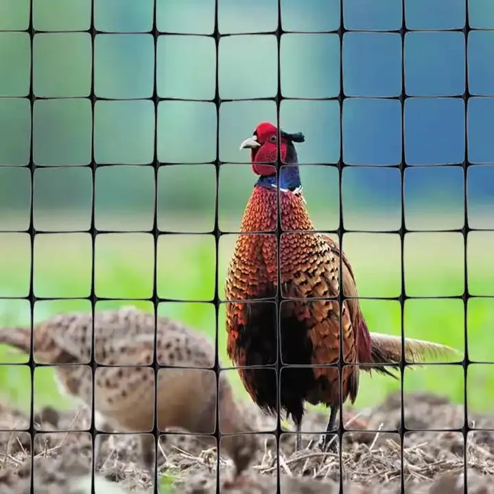 Rede anti-toupeira de plástico PP forte de alta qualidade preta para cercas de fazendas de frango e veados