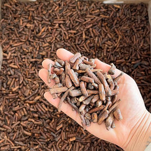 Teh Akar Dandelion Kering Herbal Murni Cina untuk Detoksifikasi - Product Image 4