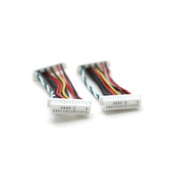 Kabel Harness JST SHDR-30V-S-B ke JST SHDR-30V-S-B, Perakitan Kabel Kustom Seri SHD 30Pin