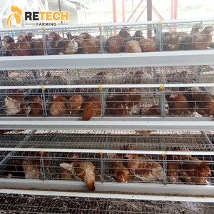 Sıcak satış 96,128,160 kuş kümes hayvanları çiftlikleri ekipmanları tavuk tabakası kafesleri - Product Image 5