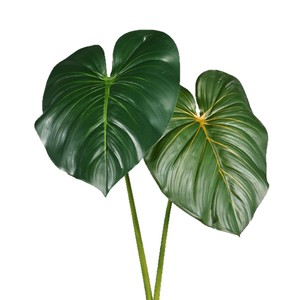 Feuilles artificielles de Monstera Meng Jie 30cm-100cm en PVC, verdure décorative pour la maison et les décorations de mariage - Product Image 5