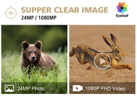 1080P FHD caméra de jeu étanche MMS FTP SMTP GPRS GPS caméra de chasse à la faune en plein air 4G LTE caméra de piste