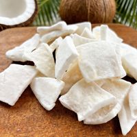 Keripik & Irisan Kelapa Beku Kering Grosir, Camilan Sehat Alami Renyah, Kemasan Besar, Pemasok OEM