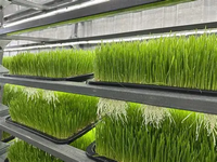 Système hydroponique intelligent et écologique Seedafarm pour la production de fourrage, équipement contrôlé par PLC, garantie 1 an, conteneur de 7000 kg