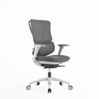 Chaise de bureau ergonomique en maille KOHO avec soutien lombaire réglable et accoudoirs, certifiée BIFMA, fournisseur de conception de bureaux sur mesure