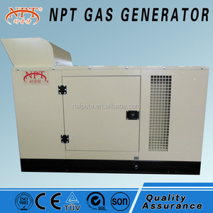 Générateur de puissance à biomasse/bois de 15 kW - Product Image 4