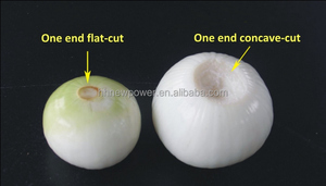 Machine professionnelle d'éplucheur d'ail et d'oignon de haute efficacitéMachine de découpe d'oignon de pomme de terre dissolvant de peau d'oignon - Product Image 3