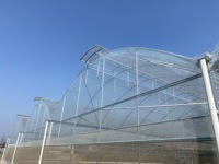 Serre tunnel en film plastique multi-chapelles double couche en PE, grande taille, résistante au vent, avec système de ventilation CHOYUEH