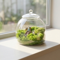 DIY 13*15cm Vase de table de terrarium en verre transparent pour la décoration intérieure de la maison et du mariage