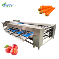 Shepody Automatische Fruit- en Groentesorteermachine Professionele Groente-gradueermachine voor Aardappel Wortel Pompoen Aubergine