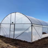 Nueva Lona Grande de Polietileno de Doble Capa con Protección UV para Invernadero, para Agricultura Hidropónica, Garantía de 15-20 Años, Estilo Gótico