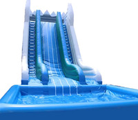 Toboggan gonflable géant avec piscine pour la location commerciale ou le plaisir du parc aquatique