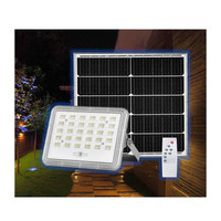 Lampu Sorot Tenaga Surya Aluminium TTG001, Lampu Sorot LED Luar Ruangan Tenaga Surya, Lampu Sorot LED Tenaga Surya IP66