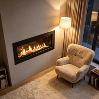 Cheminée à gaz décorative en acier moderne pour appartement, hôtel, villa, insert de chauffage à ventilation directe, dispositif de contrôle, garantie 5+ ans, gaz naturel