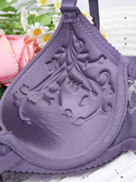 Soutien-gorge en dentelle sans couture, best-seller de la fabrique Duomi Spring, doux, anti-affaissement, pour la vie quotidienne des femmes.