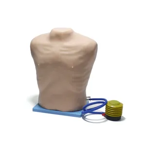 Modelo de tratamiento Pneumothorax para entrenamiento de descompresión Pneumothorax