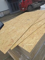 Plaque OSB de haute qualité et économique 1220*2440*9mm / Panneau OSB pour plancher en OSB / Panneau sandwich OSB pour la construction de maisons