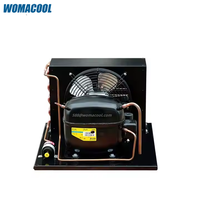 Unit kondensor Mini Motor SC15G 1/2 HP, kompresor kondensor R134a kulkas 115V/220V untuk ruang dingin