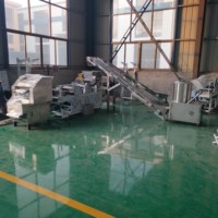 Nouvelle machine électrique à saupoudrer la pâte avec un acier inoxydable 304 de haute capacité 100-1500 kg/h pour la production de snacks