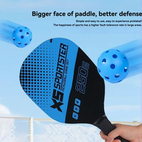 Raquette de pickleball légère en bois, ensemble de plage avec balles, équipement de sport et de fitness pour l'entraînement en extérieur, double raquette, 4 balles, sac, 450g