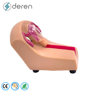 Modelo de Enseñanza de Dispositivo Anticonceptivo Intrauterino Femenino, Órganos Removibles de PVC, Marca DRFY, Herramienta de Aprendizaje y Exhibición - Product Image 5
