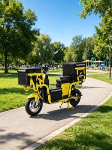 <span class=keywords><strong>Vélo</strong></span> électrique <span class=keywords><strong>cargo</strong></span> robuste de 16 pouces, 1500W, autonomie longue portée de 50-150 km, scooter électrique pour livraison de nourriture, vente directe d'usine - Product Image 5