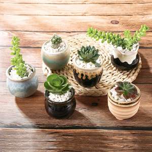 Juego de 12 Macetas Pequeñas de Cerámica Ecológicas y Duraderas para Suculentas, con Drenaje, para Plantas, Decoración del Hogar y Oficina, Regalos para Amantes de las Plantas y Mujeres - Product Image 3