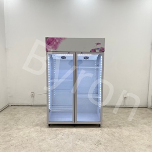 Enfriador Comercial <span class=keywords><strong>Byron</strong></span> para Flores Blancas, Sistema de Enfriamiento sin Escarcha y sin Drenaje para Floristerías - Product Image 4