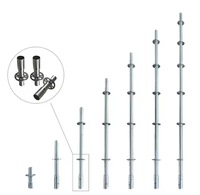 Andamios Ringlock, Soporte Personalizado, Acero Galvanizado, Andamios Modulares para Proyectos de Construcción