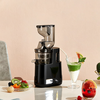 Presse-agrumes à mastiquer 500W bon marché, presse-agrumes à froid pour légumes et fruits entiers, facile à nettoyer, rendement élevé en jus
