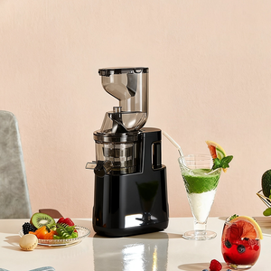 Exprimidor masticador de 500W con descuento barato, exprimidor de prensado en frío para verduras y frutas enteras, fácil de limpiar, alto rendimiento de jugo - Product Image 1
