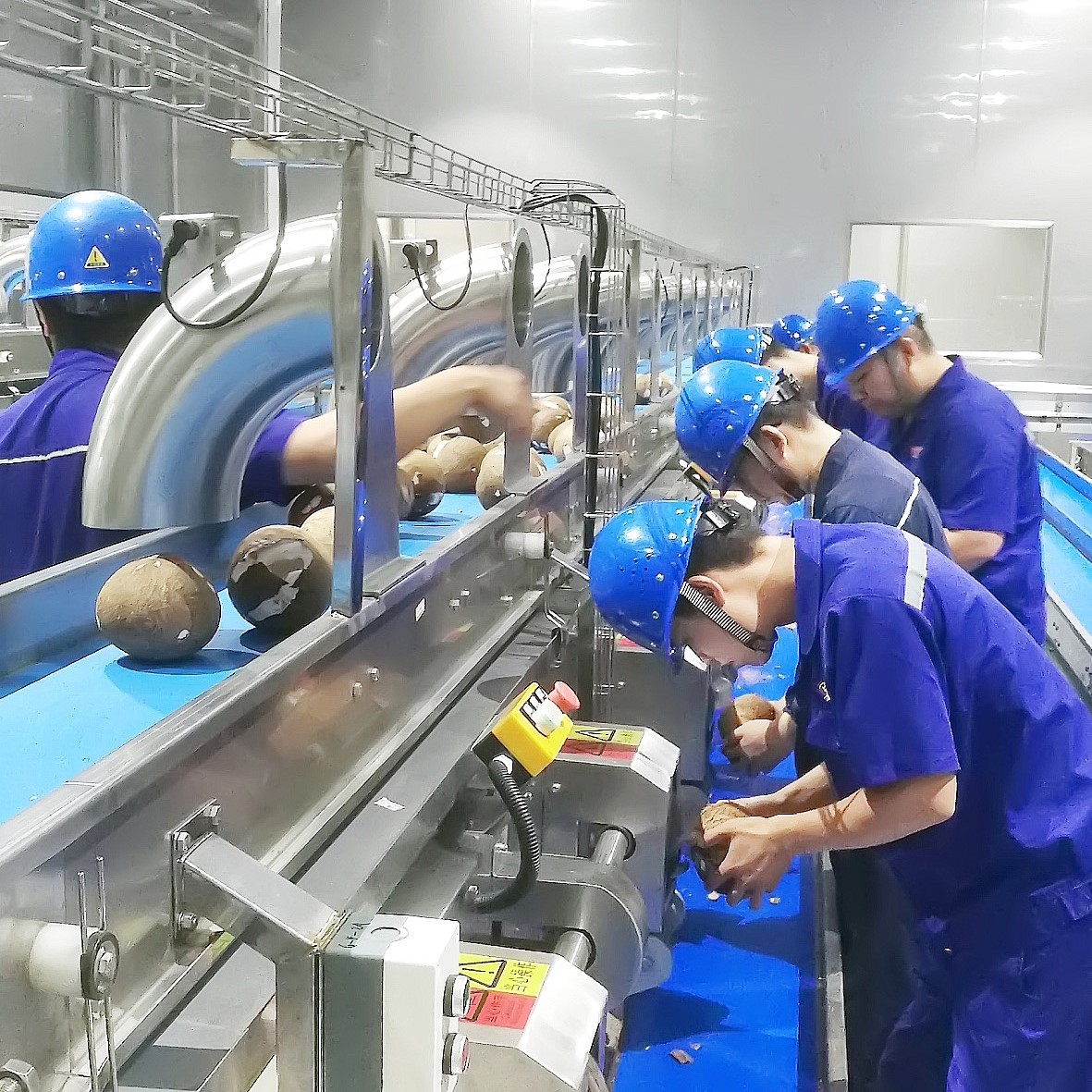 Cadena de producción de leche de la almendra de la máquina de proceso del agua del coco tratamiento del zumo de /fruit